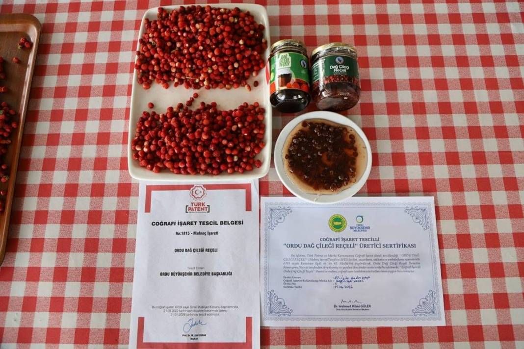 Kadınların gizli hazinesi gün yüzüne çıktı: Karadeniz'in lezzeti artık tescilli 7